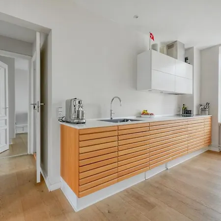 Stylish & Spacious In Cph 아파트