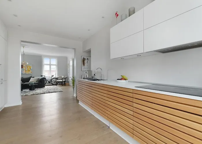公寓 Stylish & Spacious In Cph 哥本哈根