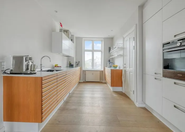 Stylish & Spacious In Cph 哥本哈根